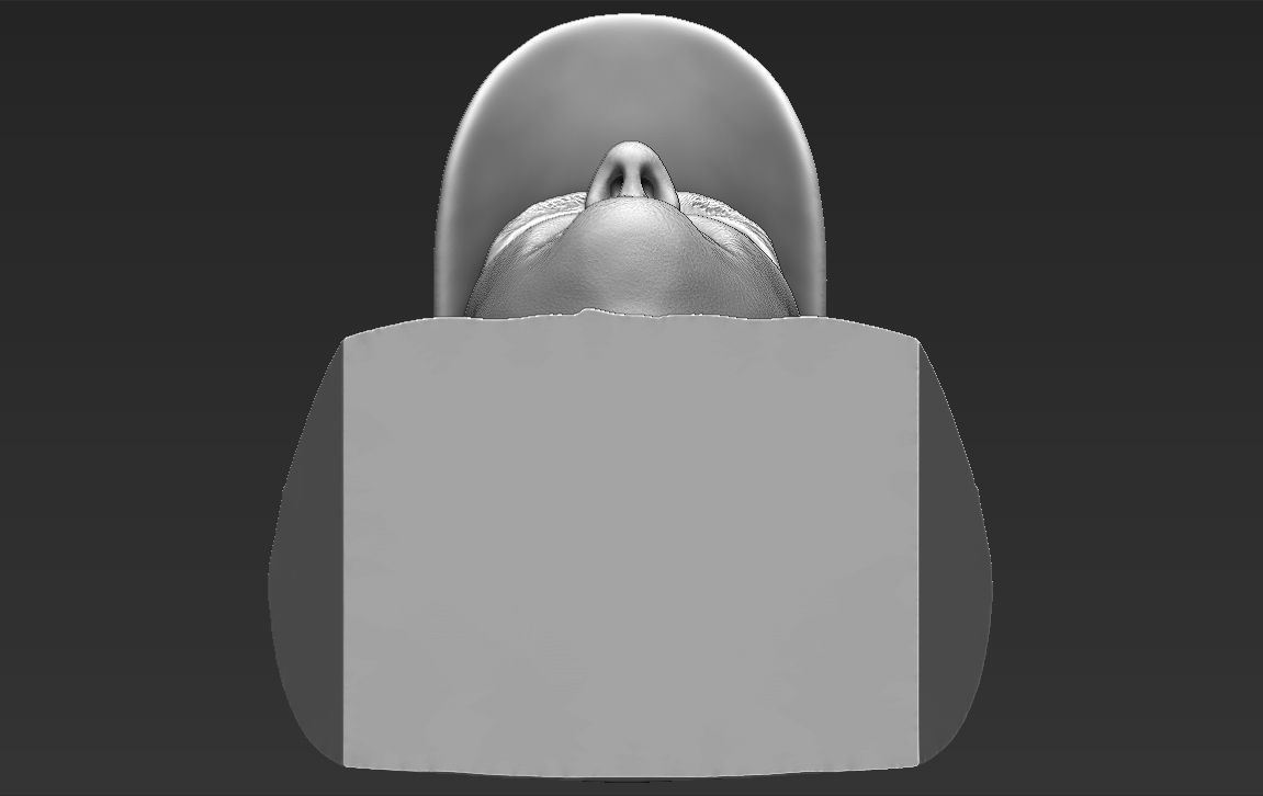 Michael Schumacher bust ready for full color 3D printing 3D print model_44