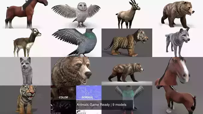 Animals Game Ready barn owl with wings spread 3D Model Collection