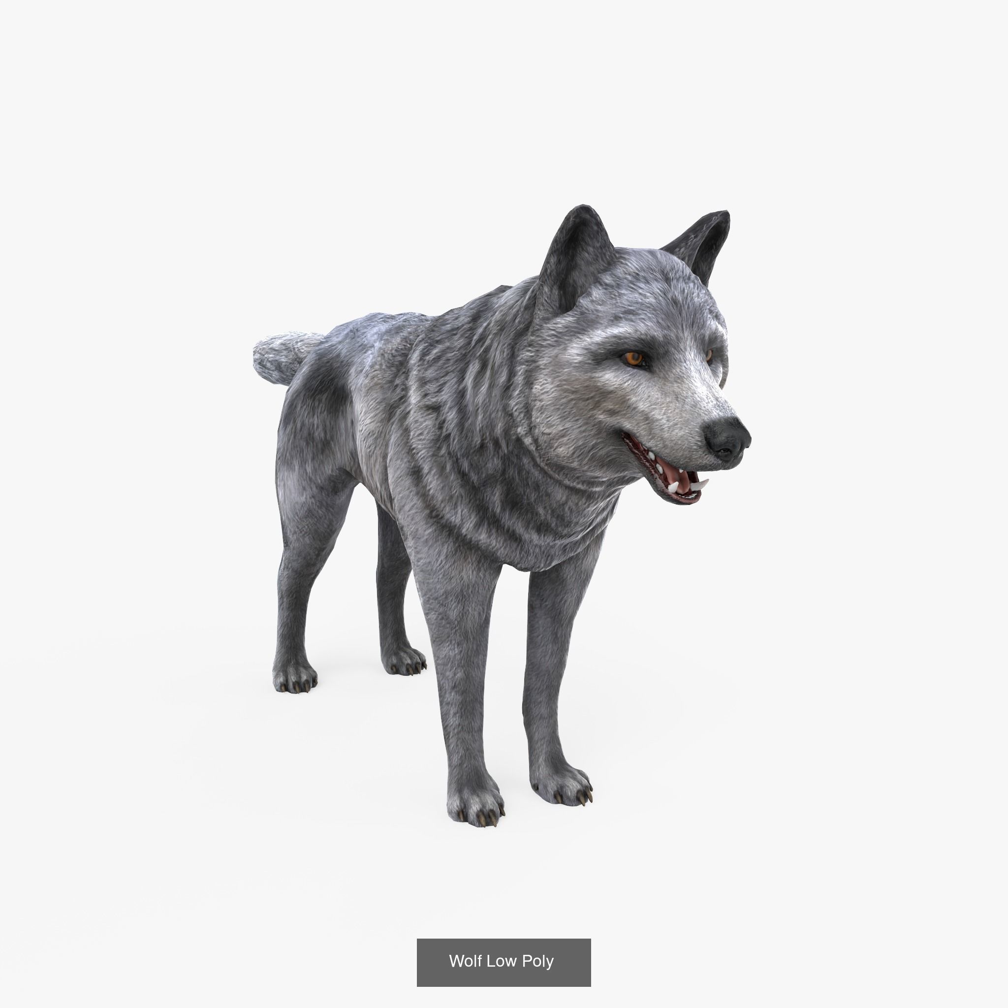 Animals Game Ready barn owl with wings spread 3D Model Collection_2