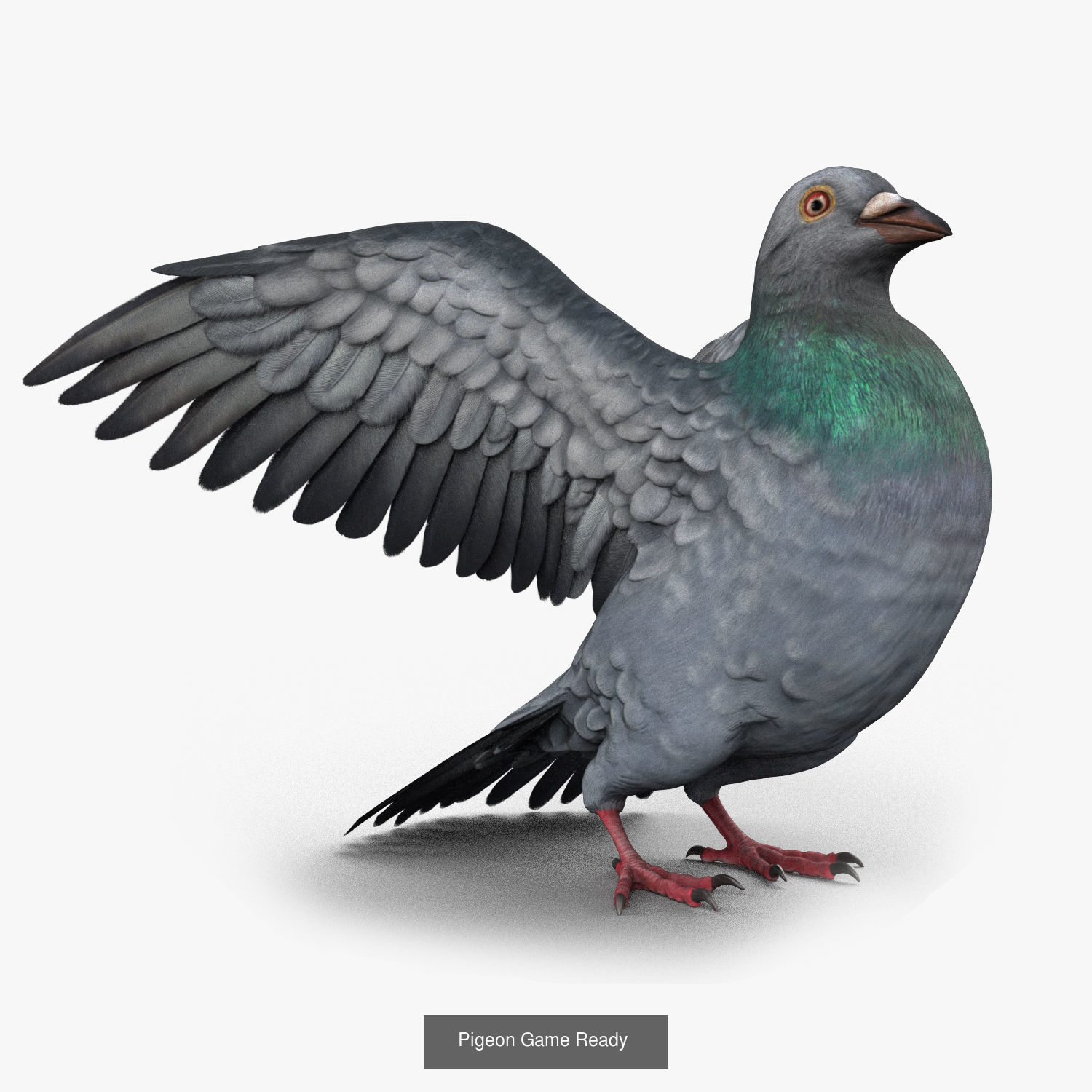 Animals Game Ready barn owl with wings spread 3D Model Collection_8