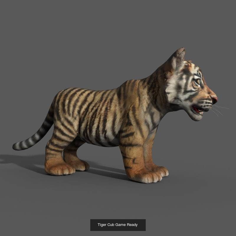 Animals Game Ready barn owl with wings spread 3D Model Collection_9