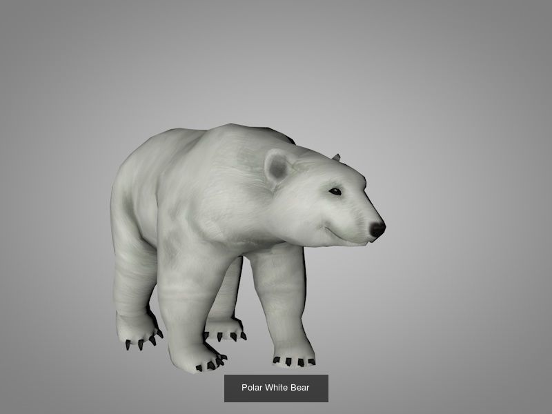 Christmas or New Year collection _6