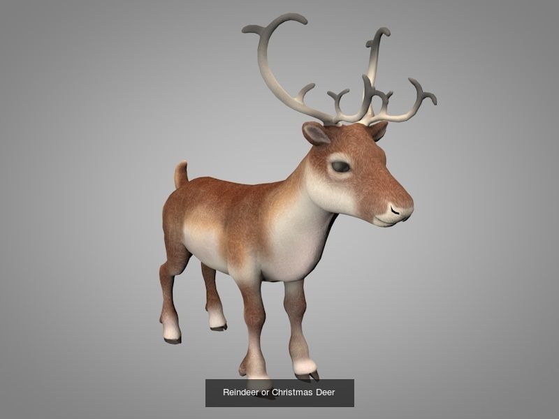 Christmas or New Year collection _1