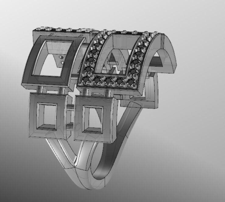 Ring akr 9 3D print model_19