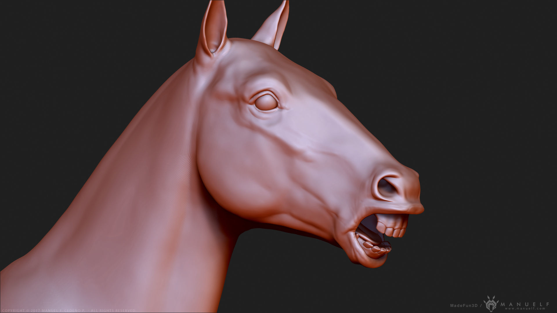 Horse  -  Highpoly Sculpture 3D model_15