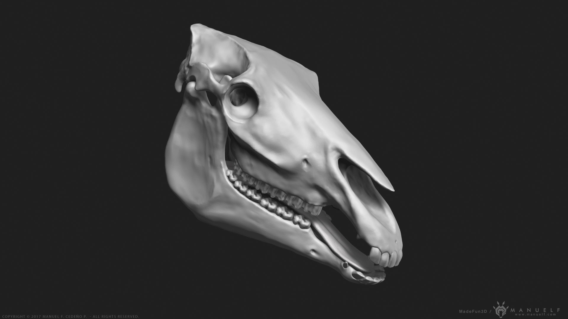 Horse  -  Highpoly Sculpture 3D model_5