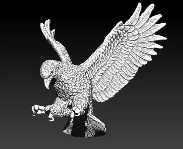 Realistic Flying  Bird Eagle Hawk Falcon  3D print model