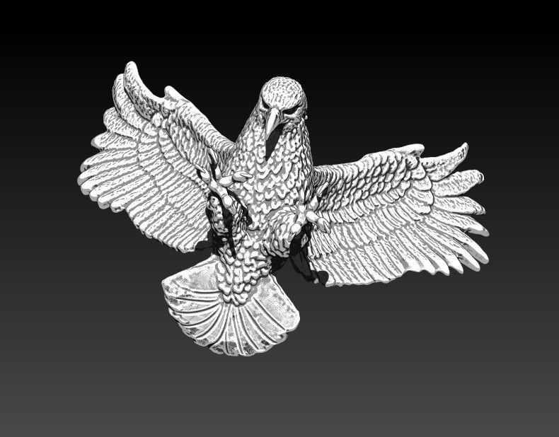 Realistic Flying  Bird Eagle Hawk Falcon  3D print model_1