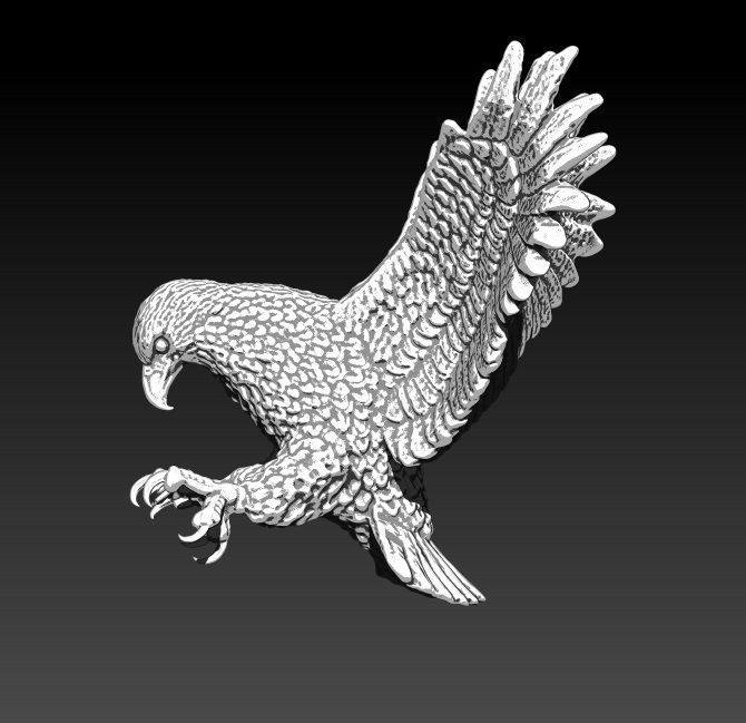 Realistic Flying  Bird Eagle Hawk Falcon  3D print model_3