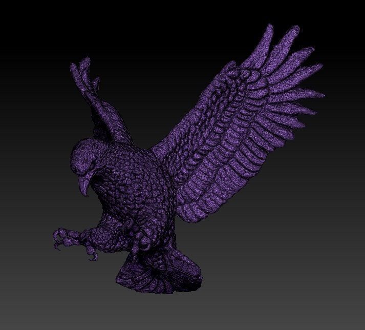 Realistic Flying  Bird Eagle Hawk Falcon  3D print model_4