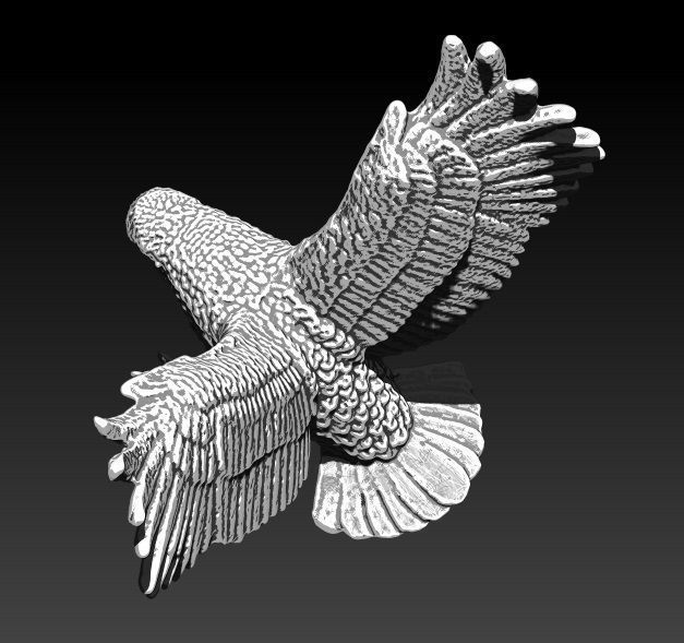 Realistic Flying  Bird Eagle Hawk Falcon  3D print model_2