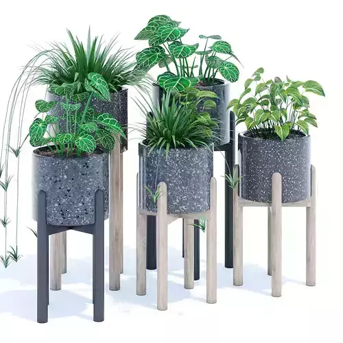 Hakuun set four plant pots on wooden legs
