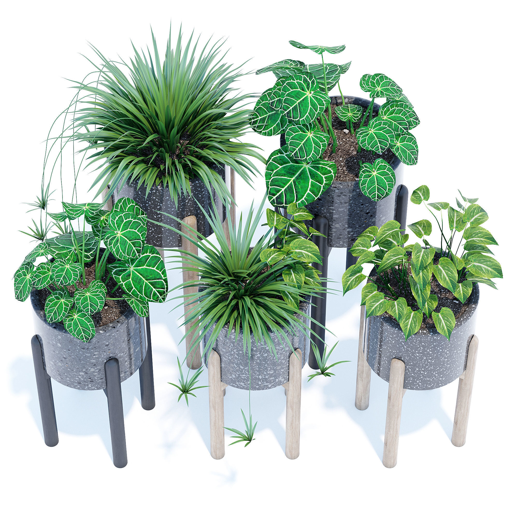 Hakuun set four plant pots on wooden legs 3D model_3