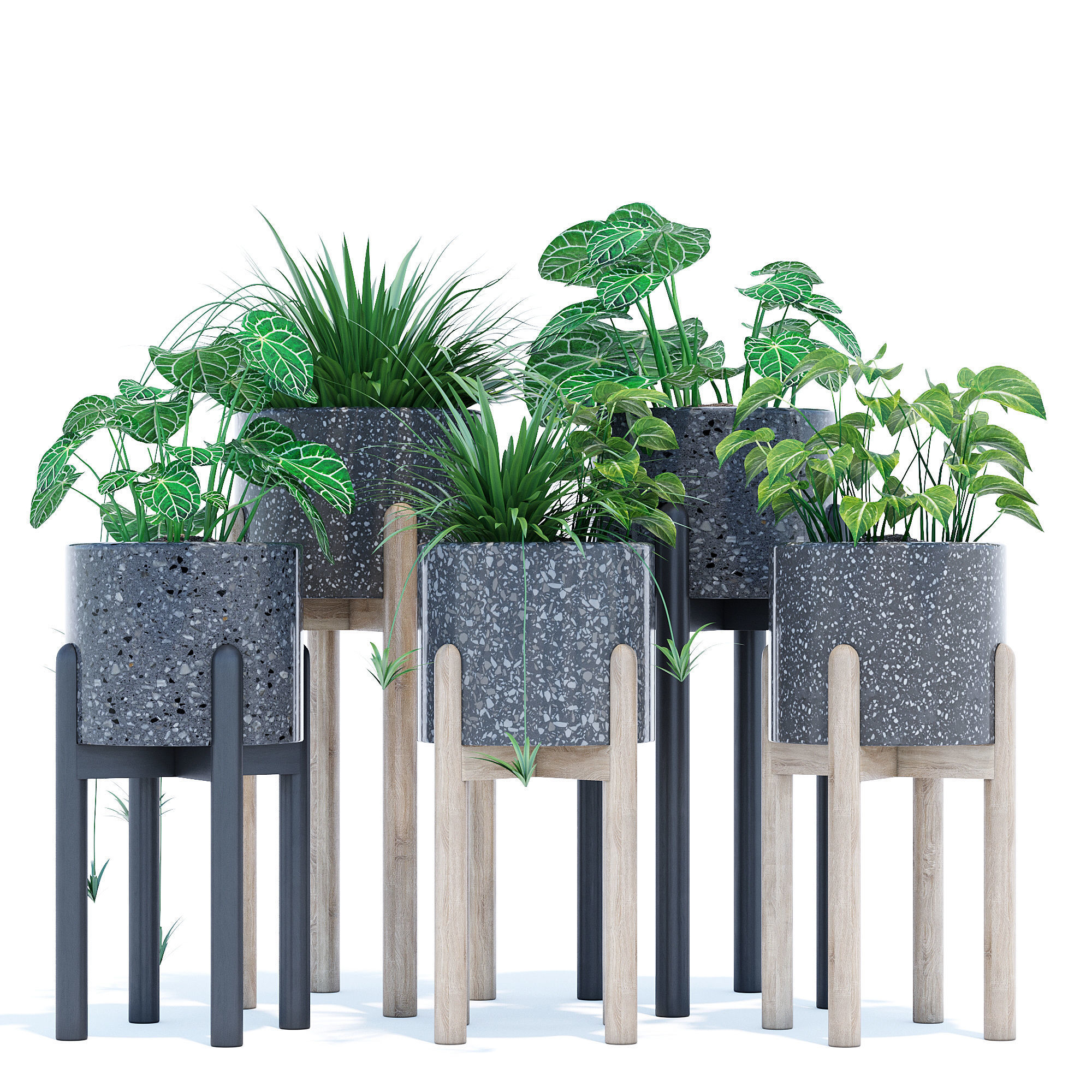 Hakuun set four plant pots on wooden legs 3D model_1