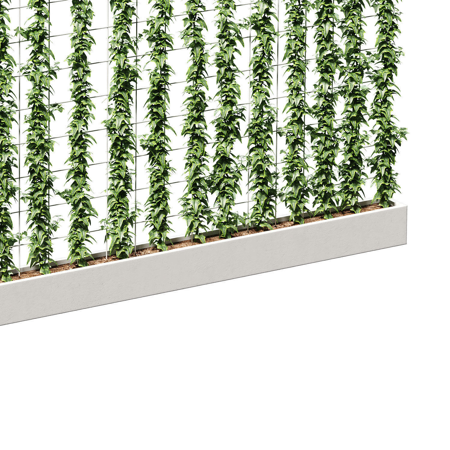 Wall of ivy leaves 3D model_5