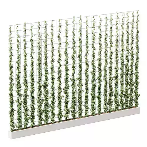 Wall of ivy leaves 3D model