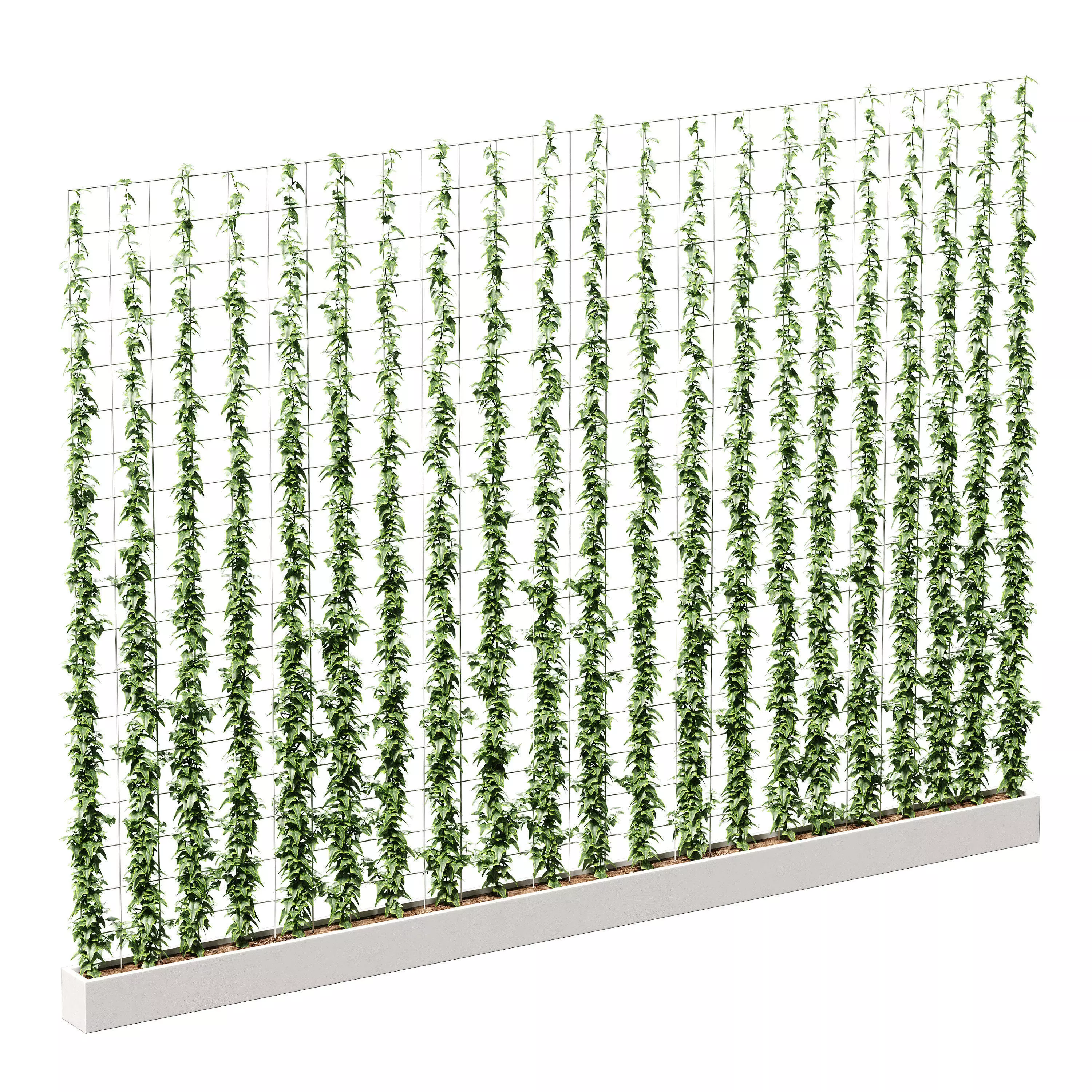 Wall of ivy leaves 3D model_0