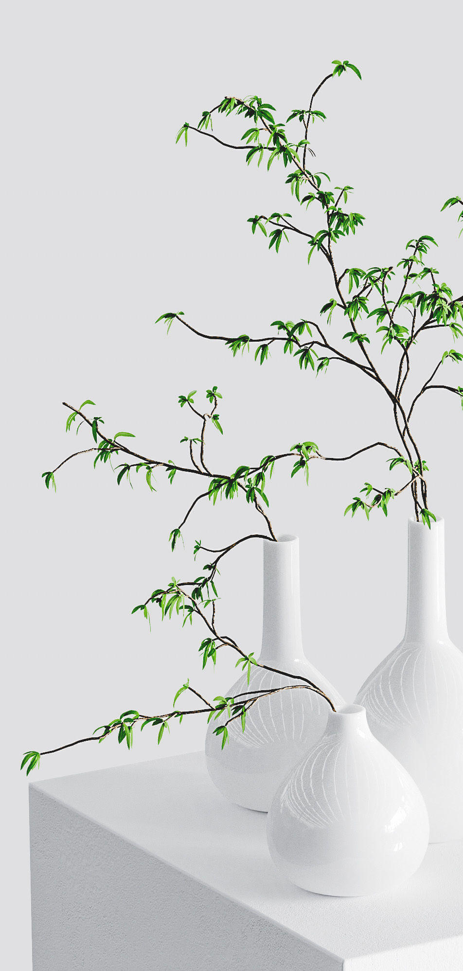The branches in the vases - 5 models 3D model_3