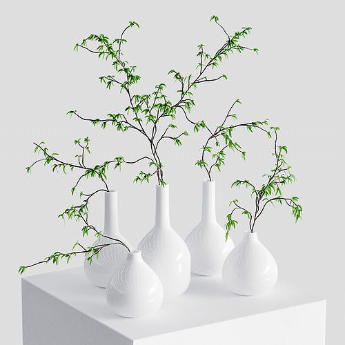 The branches in the vases - 5 models 3D model
