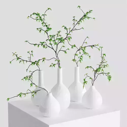 The branches in the vases - 5 models 3D model