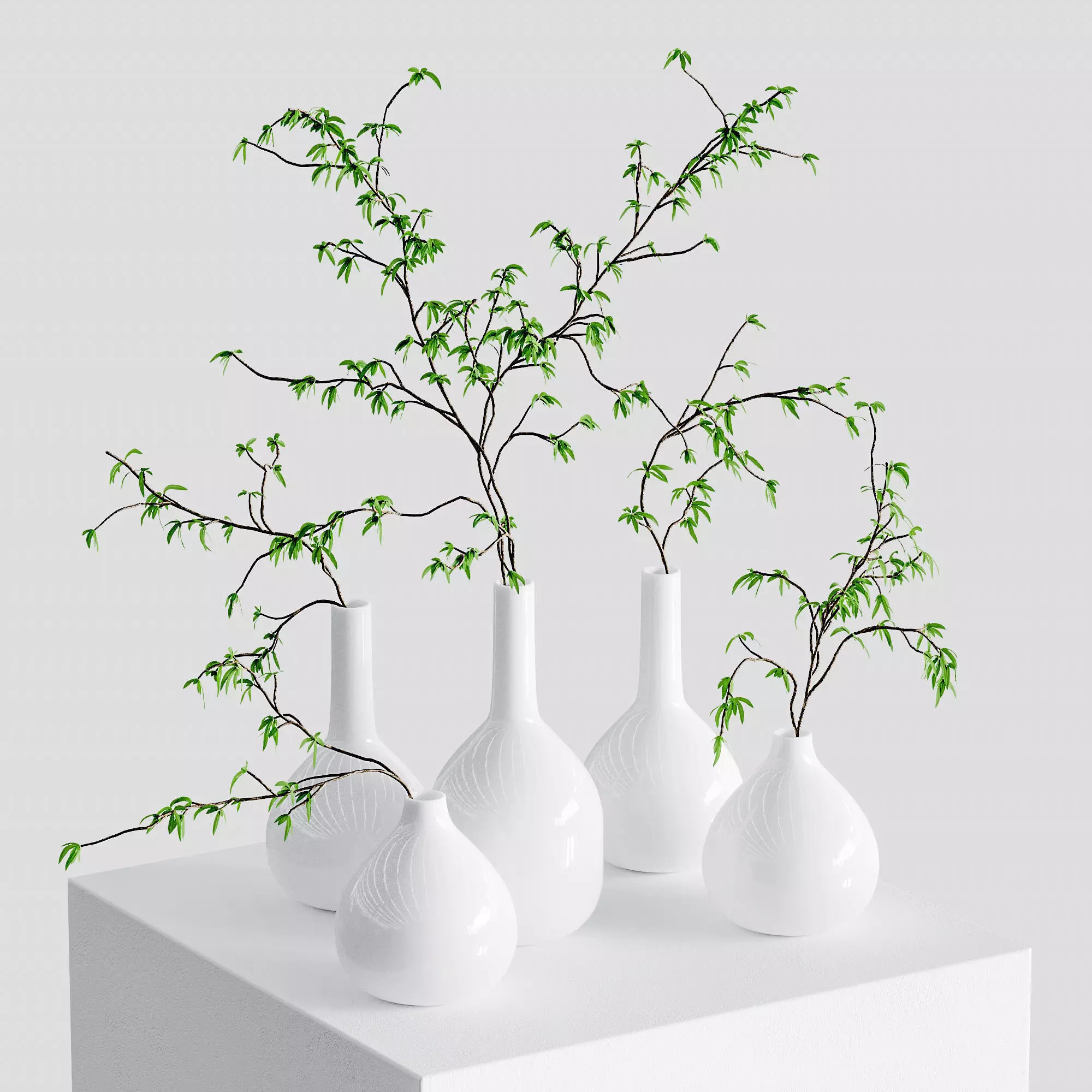 The branches in the vases - 5 models 3D model_0