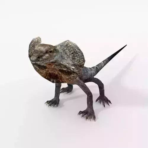 Kingy Lizard Low-poly 3D model