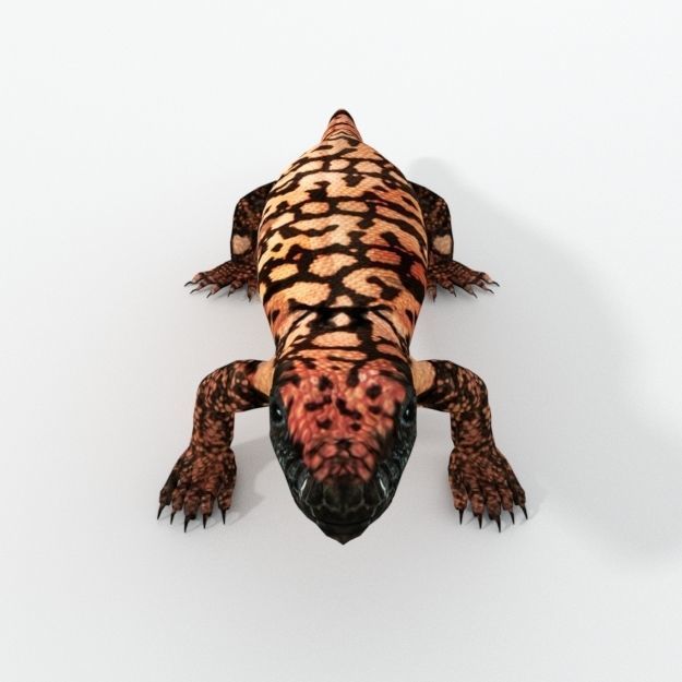 Gila Monster Low-poly 3D model_2