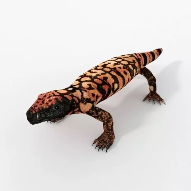 Gila Monster Low-poly 3D model_0