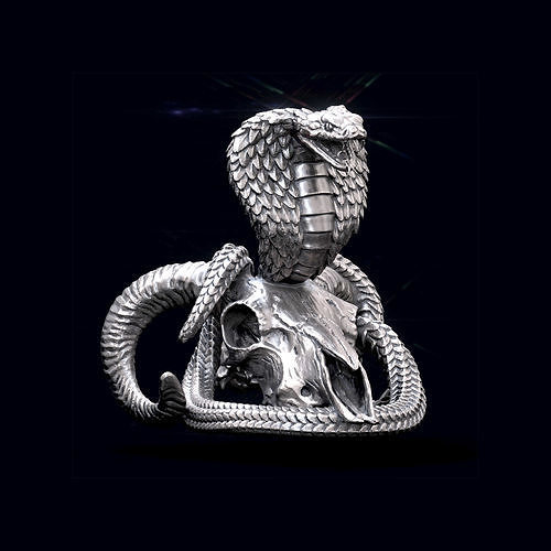 Cobra on the skull 3D print model