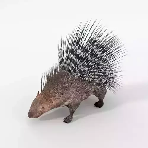 Porcupine chair Low-poly 3D model