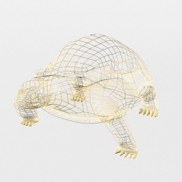 Sulcata Turtle Low-poly 3D model_4