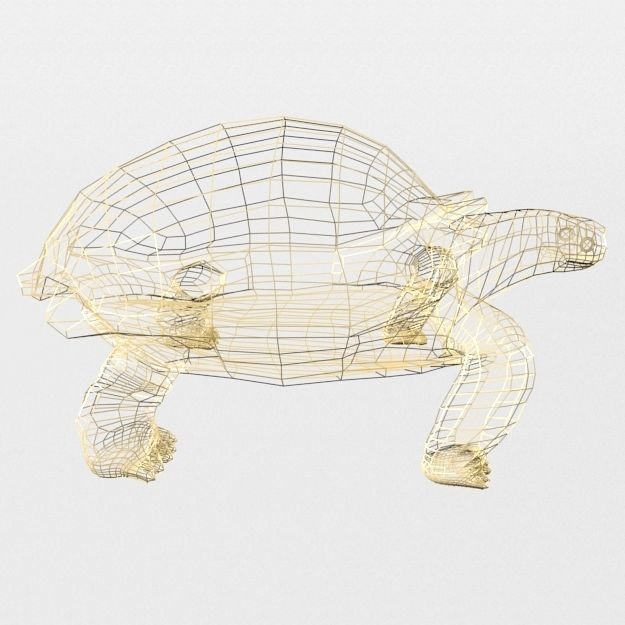 Sulcata Turtle Low-poly 3D model_7