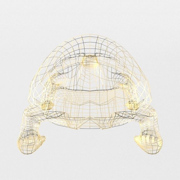 Sulcata Turtle Low-poly 3D model_5