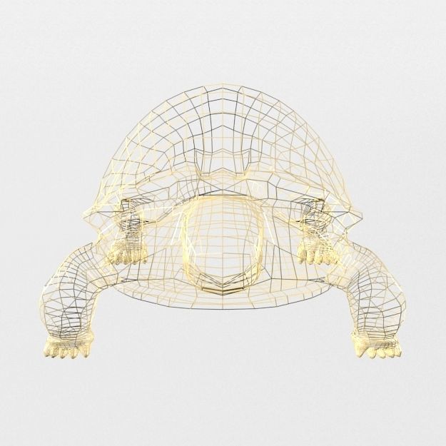 Sulcata Turtle Low-poly 3D model_6
