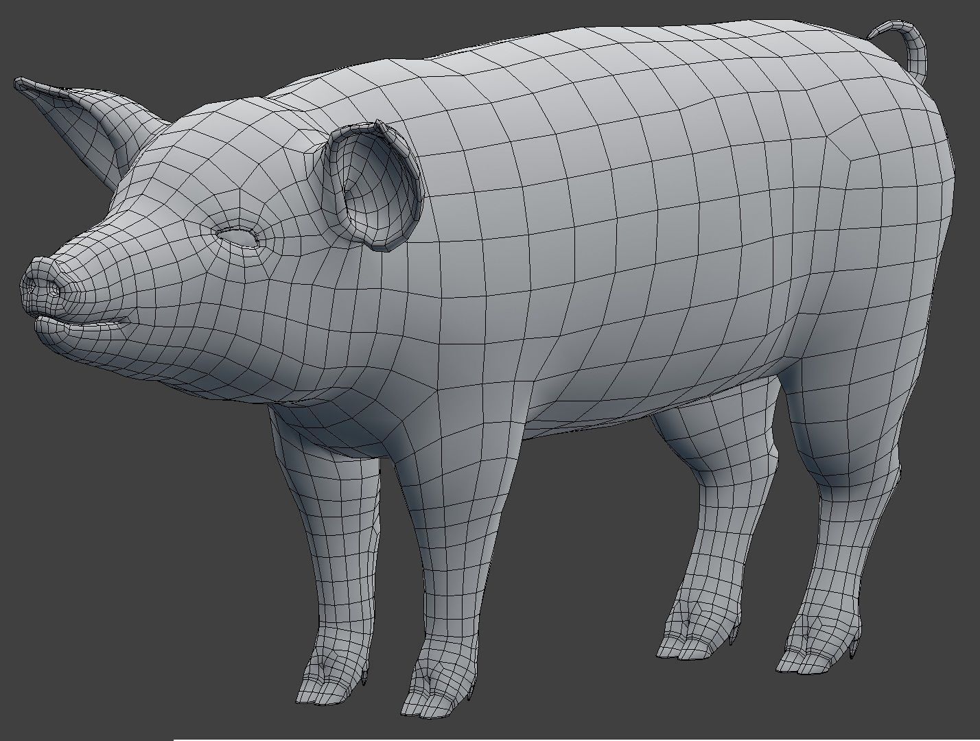 Pig Model Low-poly 3D model_5