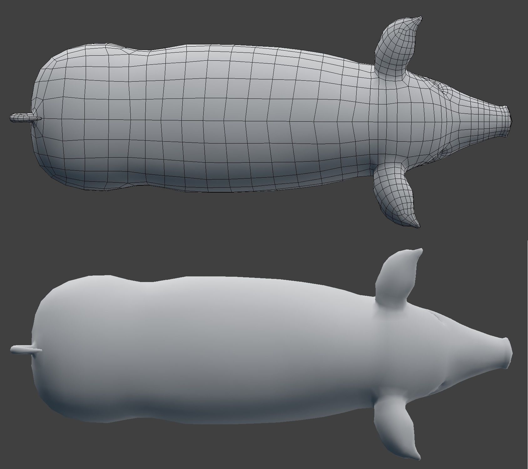 Pig Model Low-poly 3D model_12