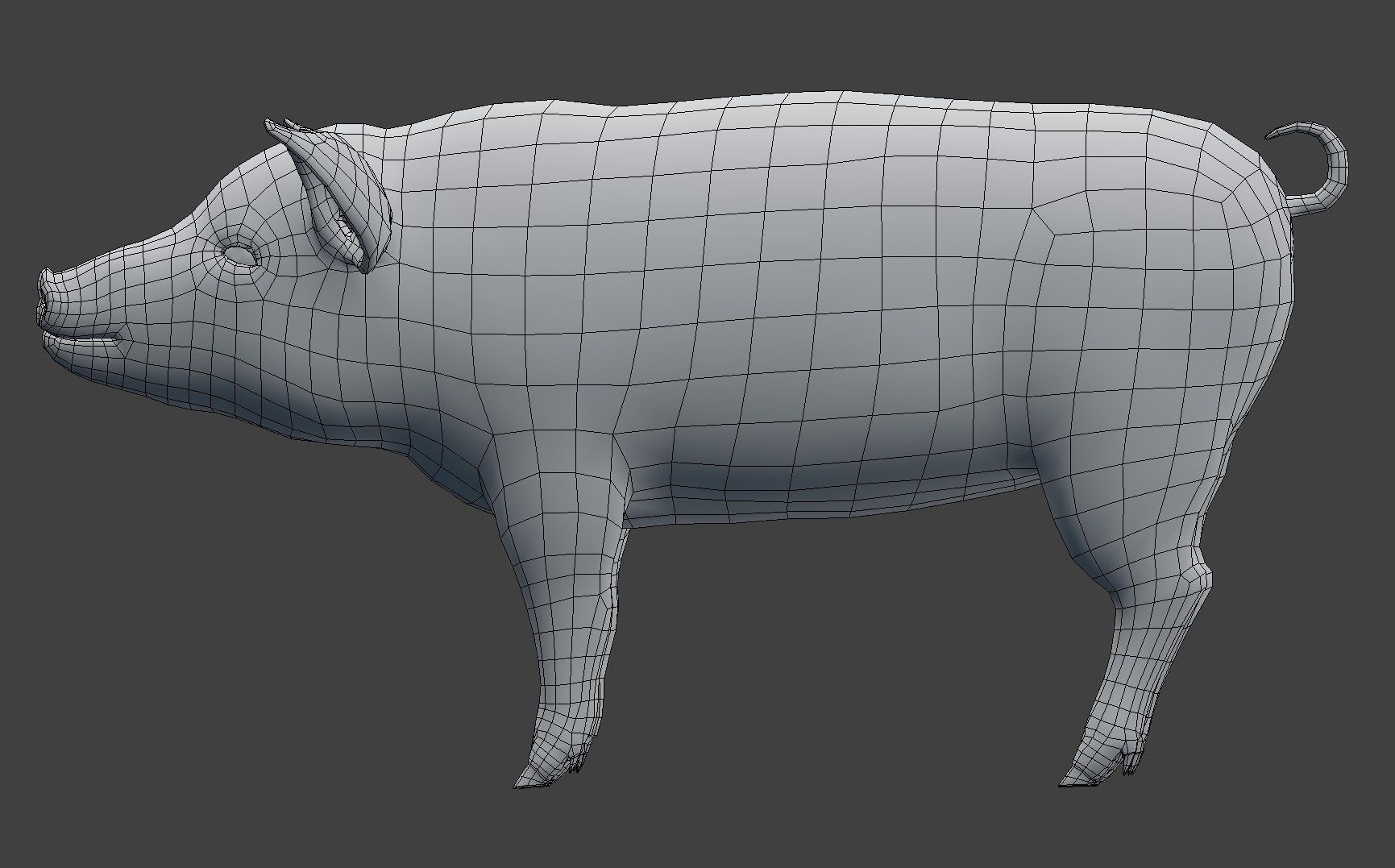 Pig Model Low-poly 3D model_8