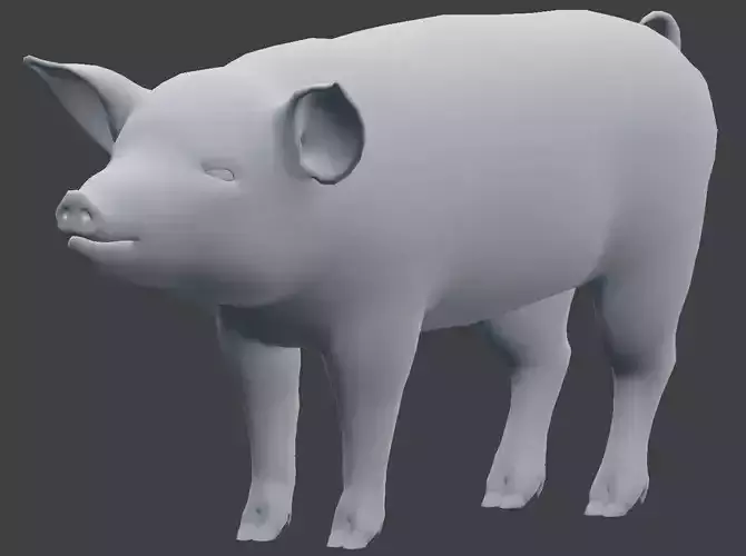 Pig Model