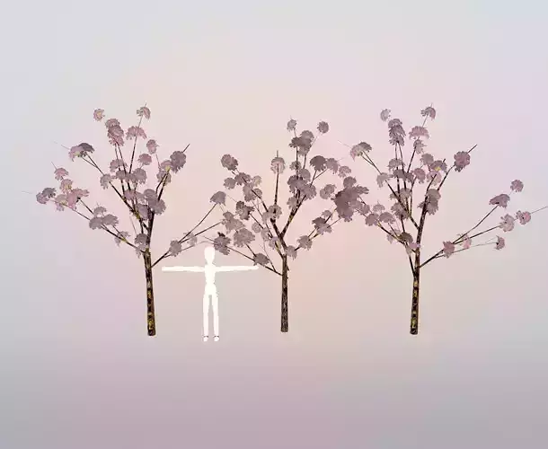 pink flowery tree in japan kids school carnival daylight