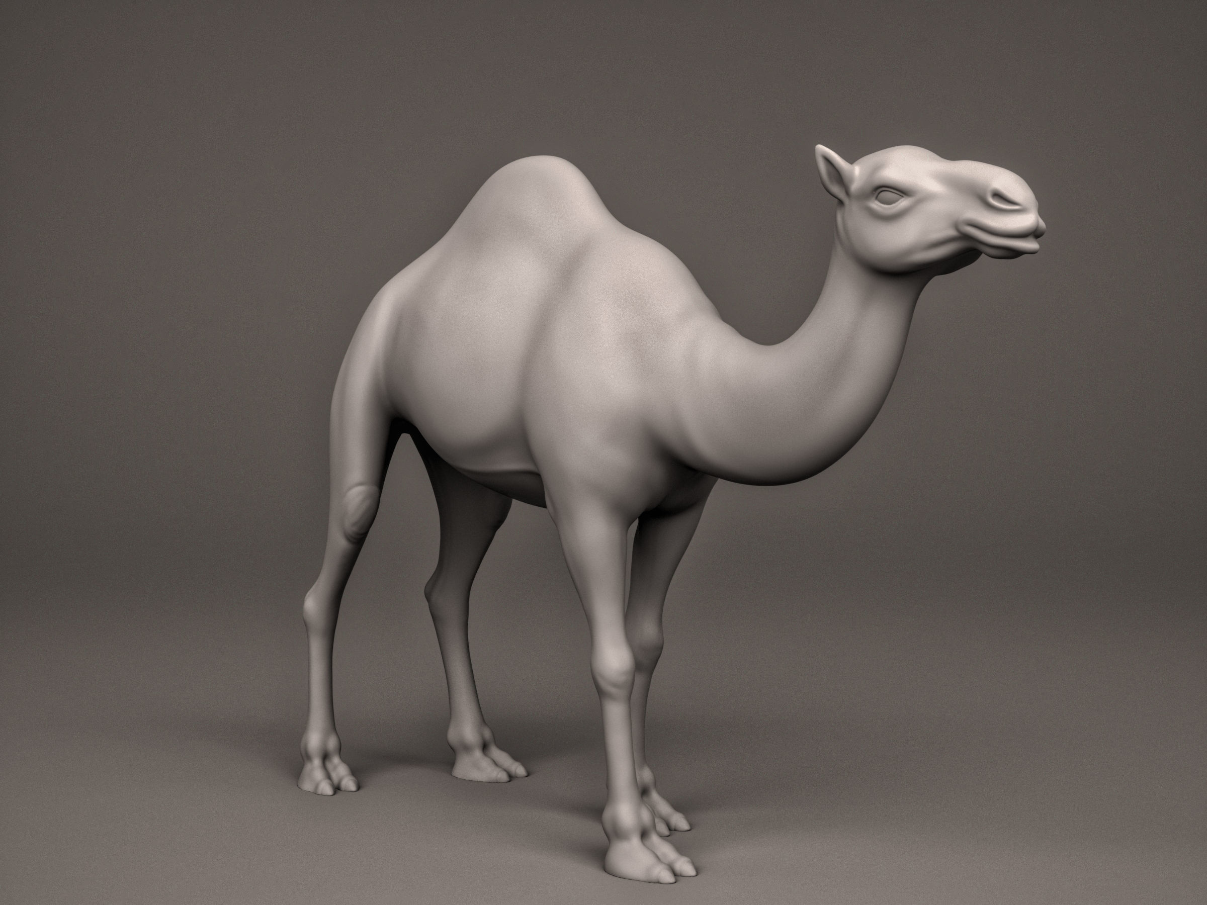 Camel 3D print model_5