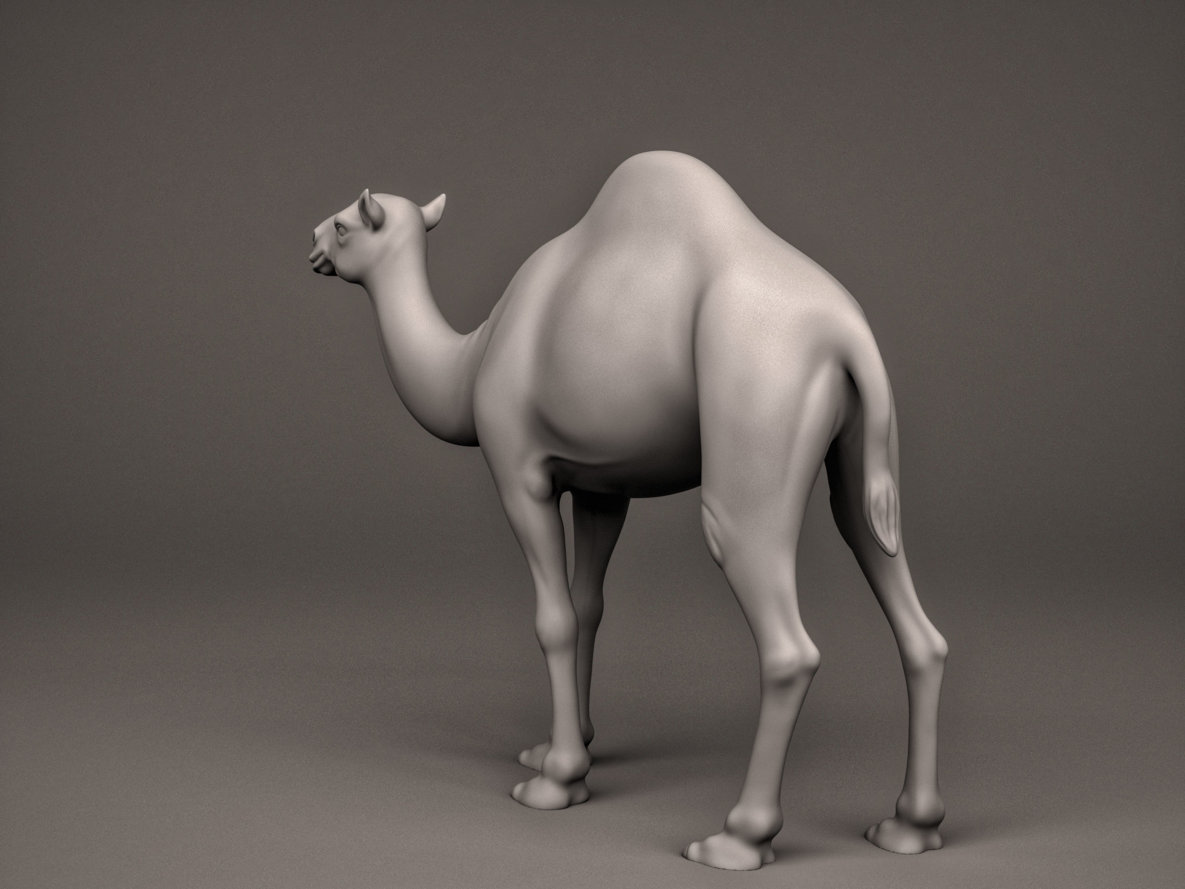 Camel 3D print model_2