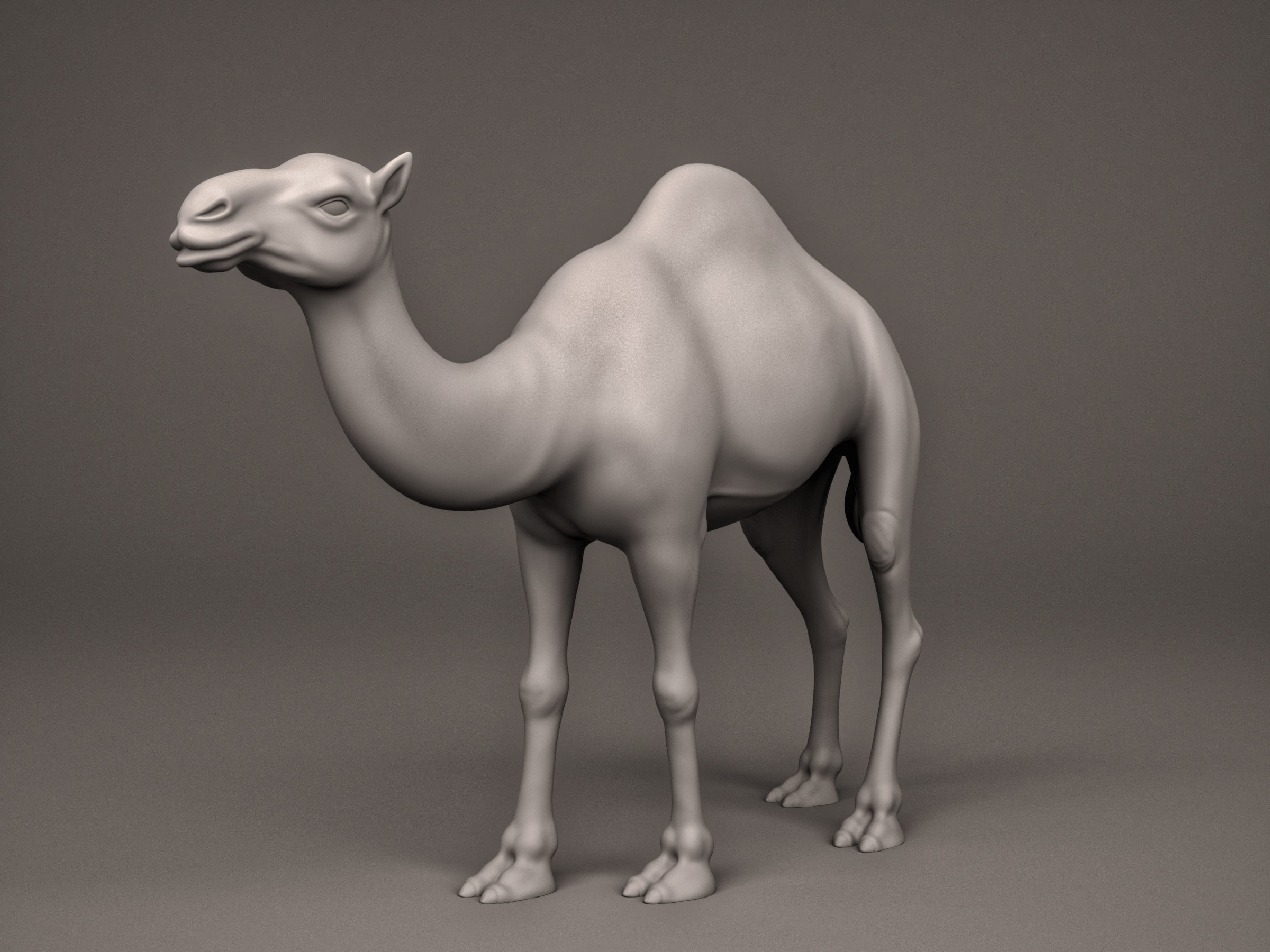 Camel 3D print model_6