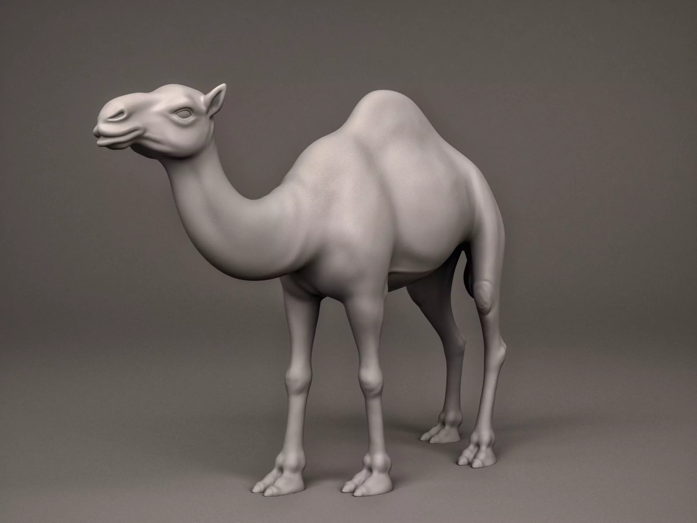Camel 3D print model_0