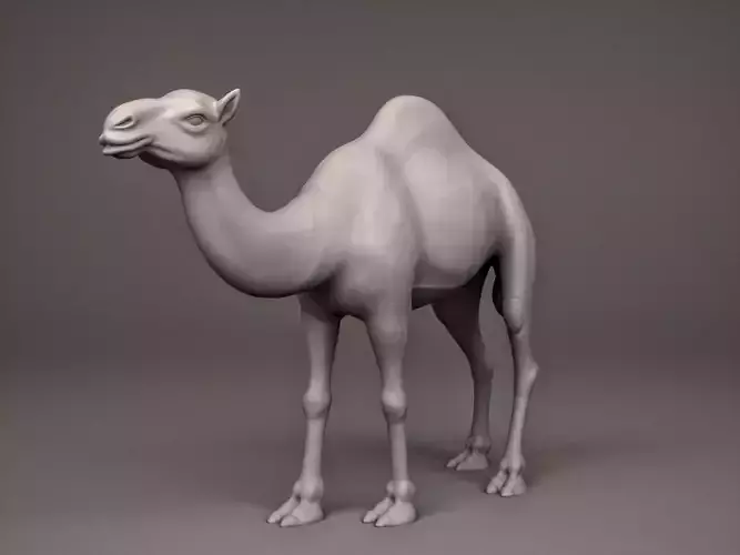 Camel 3D print model