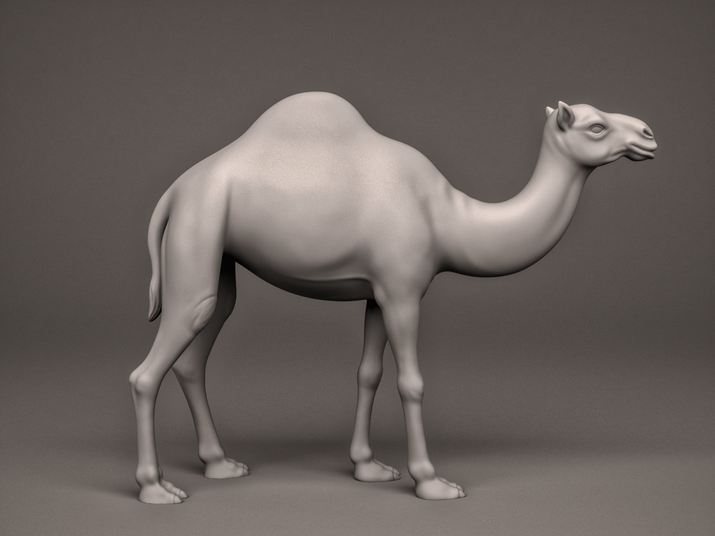Camel 3D print model_4