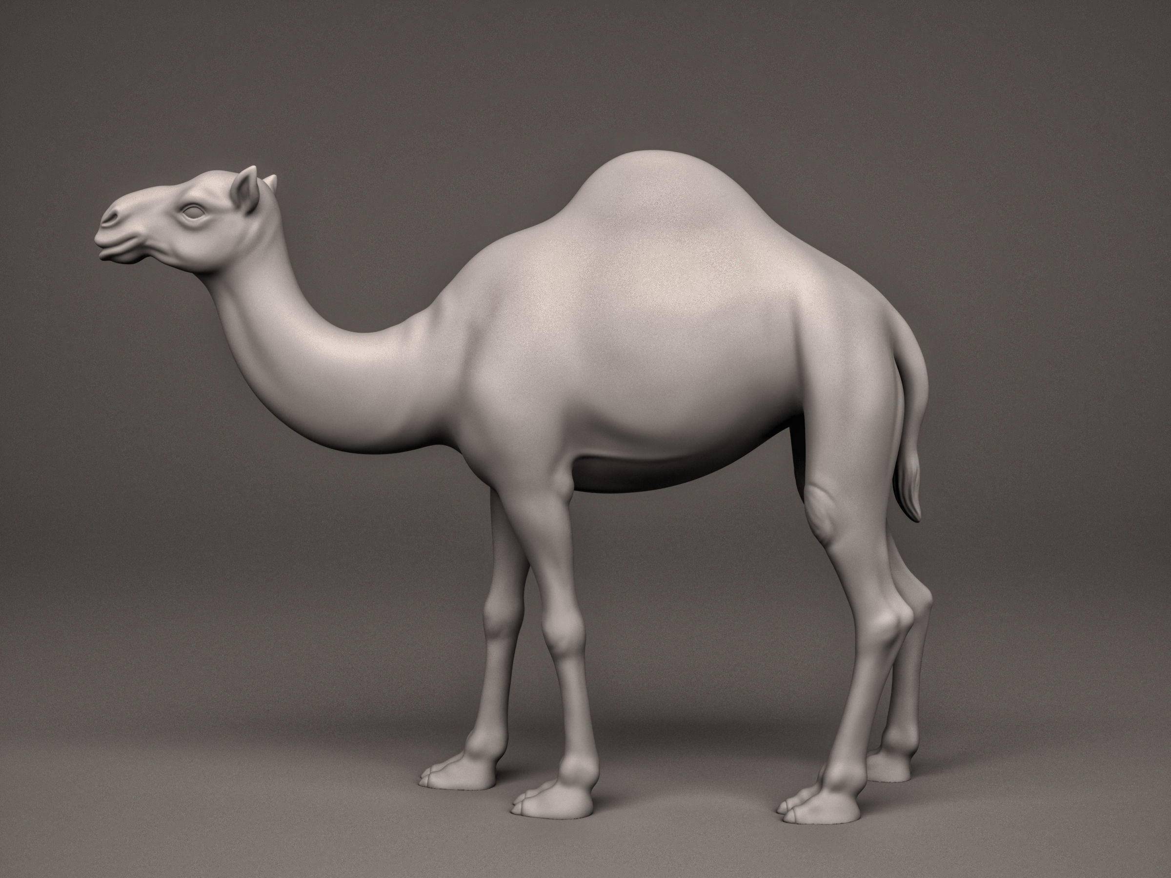 Camel 3D print model_1