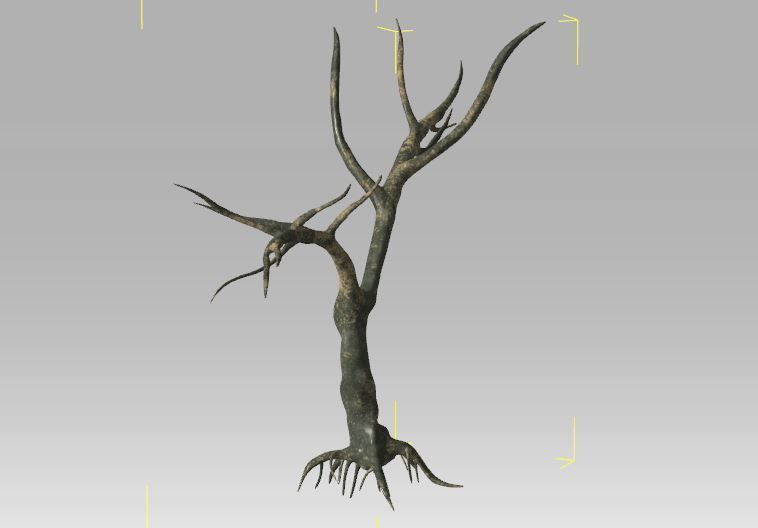 6 Old Tree Free 3D model_2
