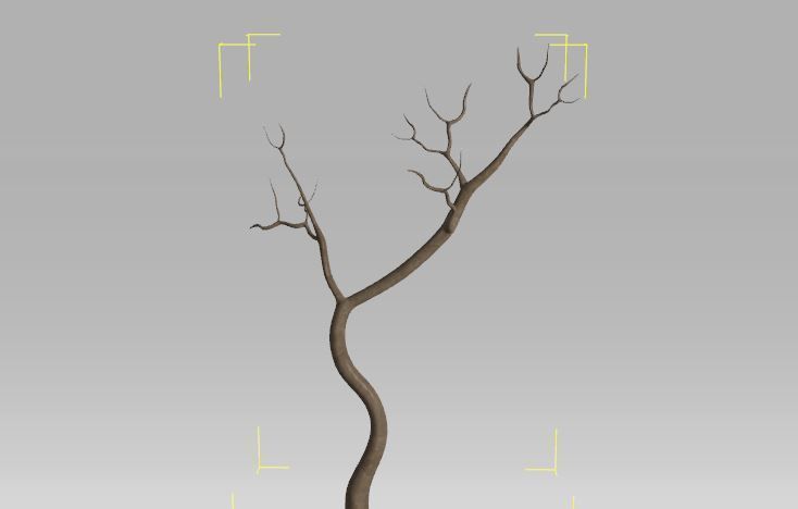 6 Old Tree Free 3D model_3
