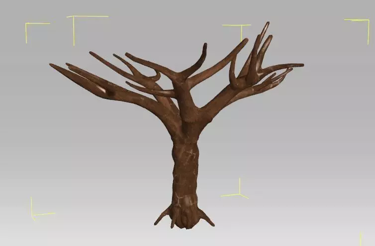 6 Old Tree Free 3D model_0