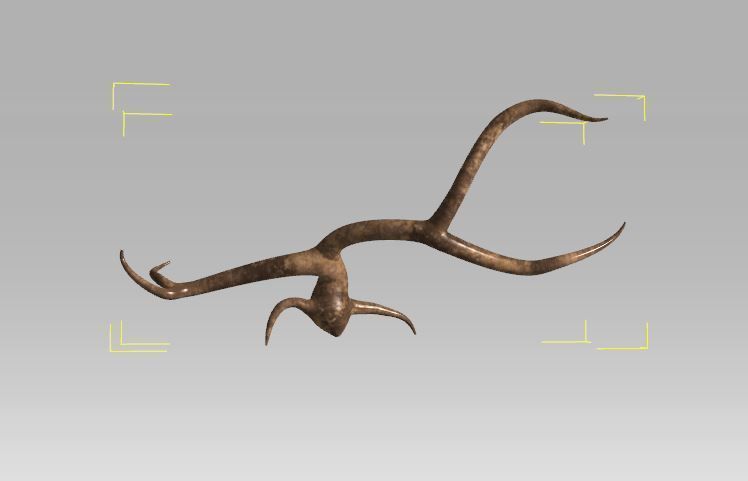 6 Old Tree Free 3D model_1